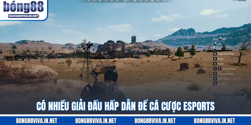 Có nhiều giải đấu hấp dẫn để cá cược esports