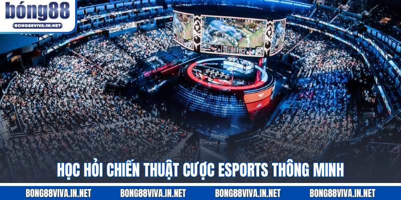 Học hỏi chiến thuật cược esports thông minh