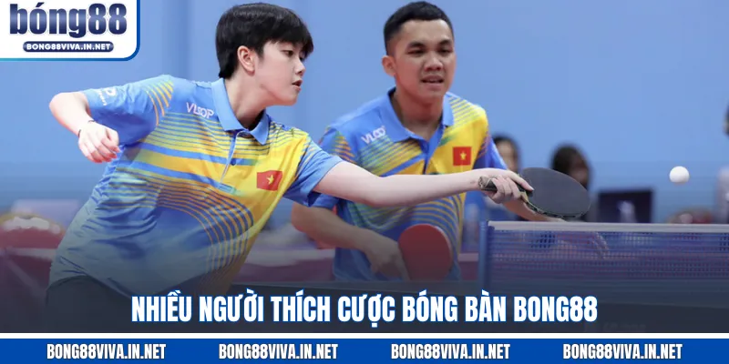 Nhiều người thích cược bóng bàn BONG88